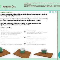 31-ets2-promosyon-zeynep-dosercakar-1